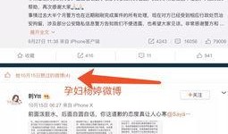 爆料网红的网站视频,爆料内容深度解析