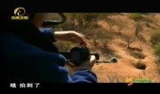 天然在线观看,在线观看之旅